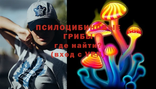 a pvp Алексин