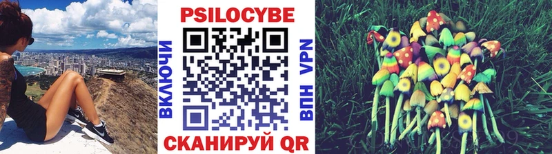 Псилоцибиновые грибы прущие грибы  цены   Узловая 