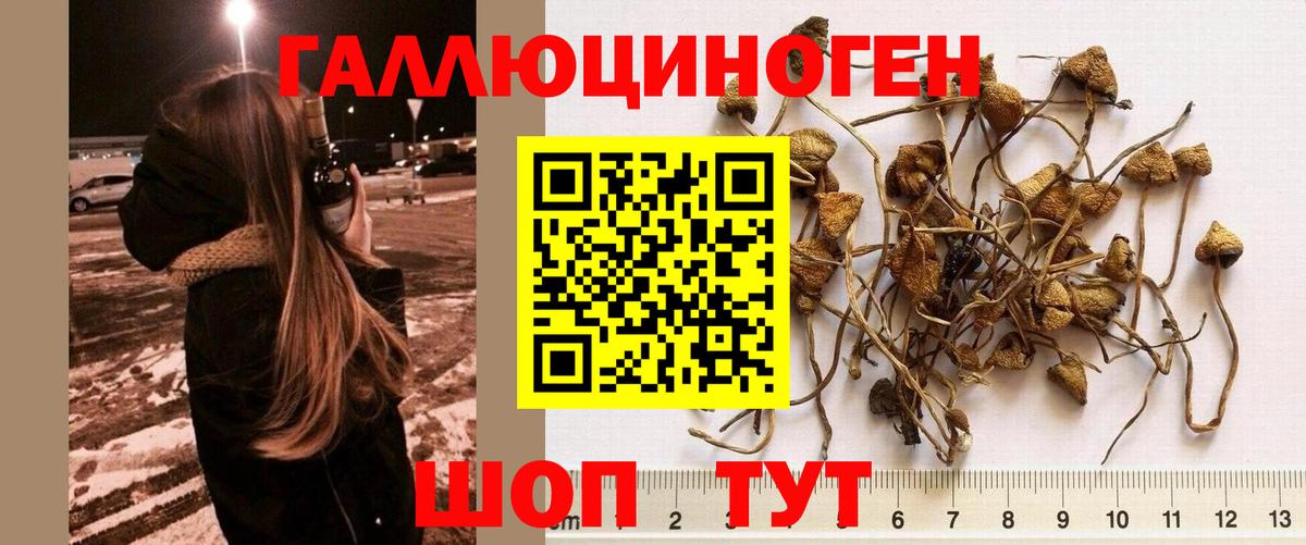 МЕФ кристаллы  МЕТАДОН  Кокаин  Вход с VPN  Марихуана  Узловая  Alpha PVP СК   Гашиш 