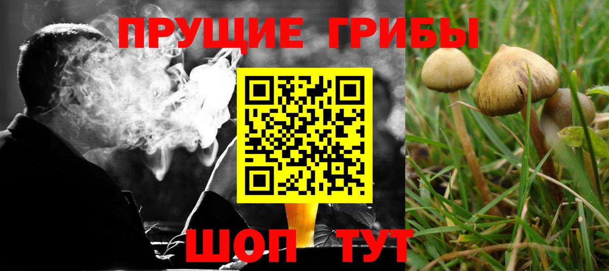 Галлюциногенные грибы Cubensis  Псилоцибиновые грибы GOLDEN TEACHER  Узловая  Вход с VPN 
