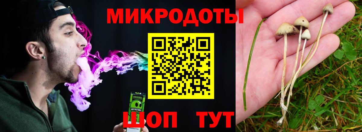 Галлюциногенные грибы мухоморы Узловая